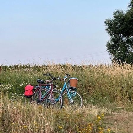 Lwb Ferienwohnung "Auszeit Im Denkmal" Wittenberg 外观 照片