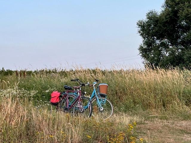 Lwb Ferienwohnung "Auszeit Im Denkmal" Wittenberg 外观 照片